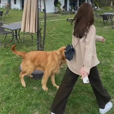 辛白林
